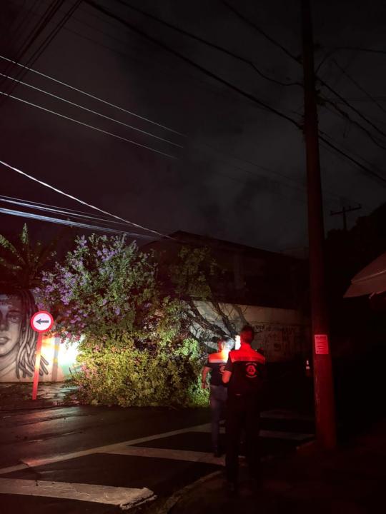 Foto 13 de 27 — Temporal volta a atingir Araraquara e provoca estragos em vários bairros; veja as fotos